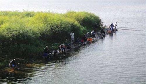  「适合」适合野钓的几种钓位，这些地方鱼扎堆，位置选得对，不愁钓不到鱼