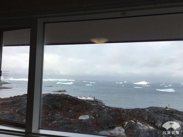 中国小伙北极之旅，入住2000多一晚的当地酒店，鲸鱼肉竟放路边卖