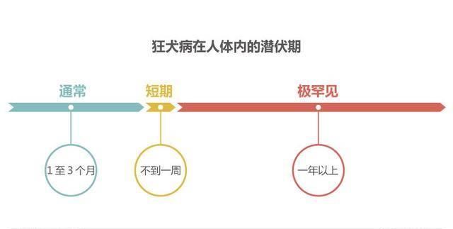 「提醒」狂犬病能治好？医生提醒：发病就是死亡，被狗咬后必须处置才安心