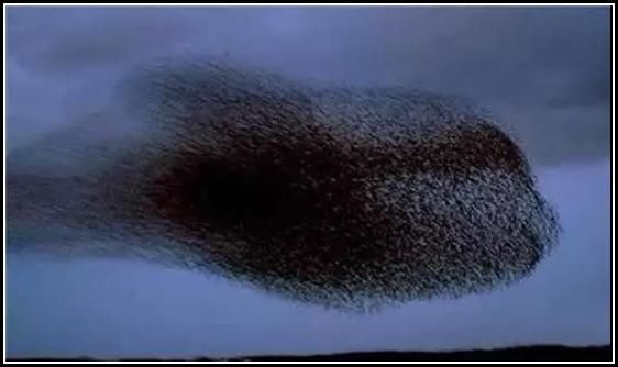 用图告诉你，世界鬼斧神工的美丽，是有多疯狂！