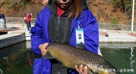 为何藏族人都不吃鱼?当地人说出实情,游客:不敢在当地找鱼吃