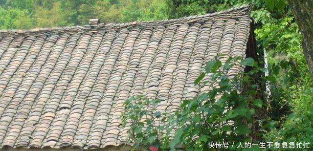 农村朋友注意了！宅基地确权时，土地面积还包括这些，别给漏掉了