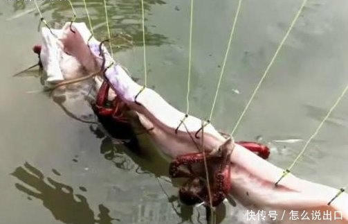 男子将肉扔到池塘里，众人不理解，等上来以后都无话可说