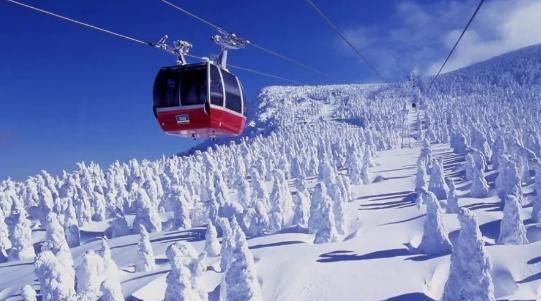 日本推荐！冬季一定不能错过的雪天绝景