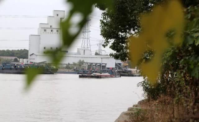 两条运河孕育、滋养出了桐乡这个千年风情古镇