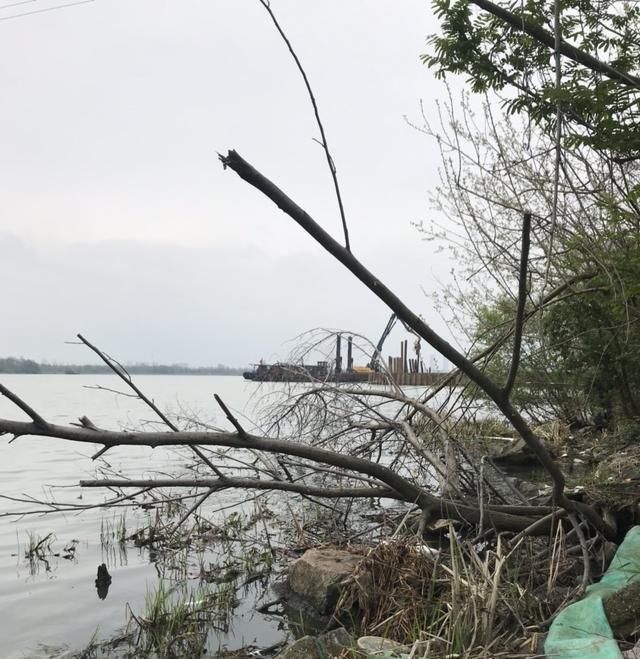  「没想到」首战壁虎河，没想到几条小鲫，钓出了新高度