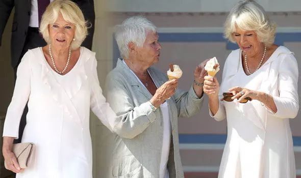 梅根被哈里批评?!原因居然是Skr... | 福尔摩斯 小郑周报