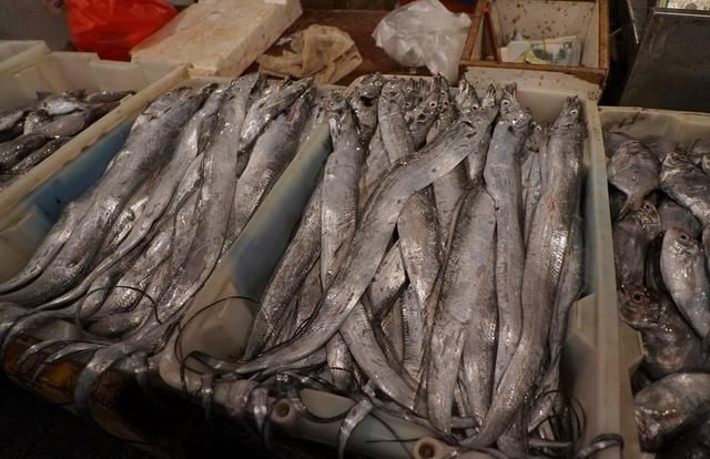 自驾走过广西广东海南，来到福建霞浦三沙，带你看看渔村海鲜价格