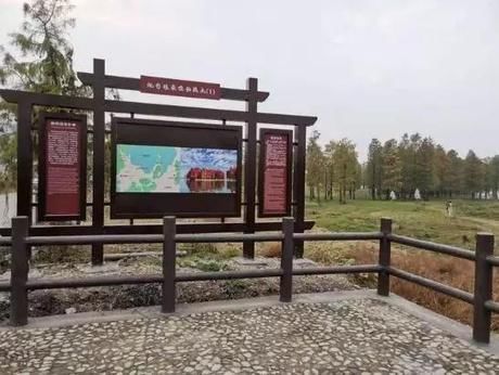 “浙江最美红杉林”被铁丝网封了，官方回复的原因让很多人惭愧