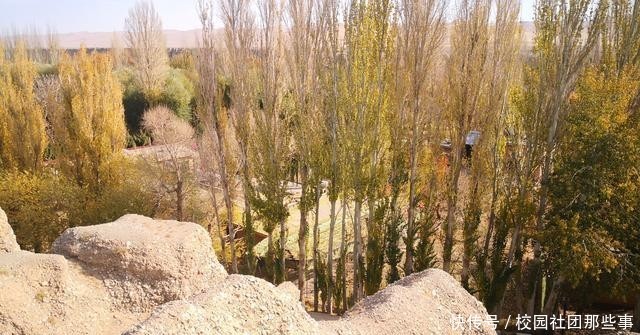 感谢斯坦因“不盗之恩”,让锁阳城文物永埋沙下