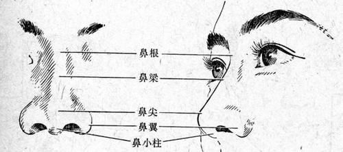  【好看】鼻子不好看，怎么做女神？