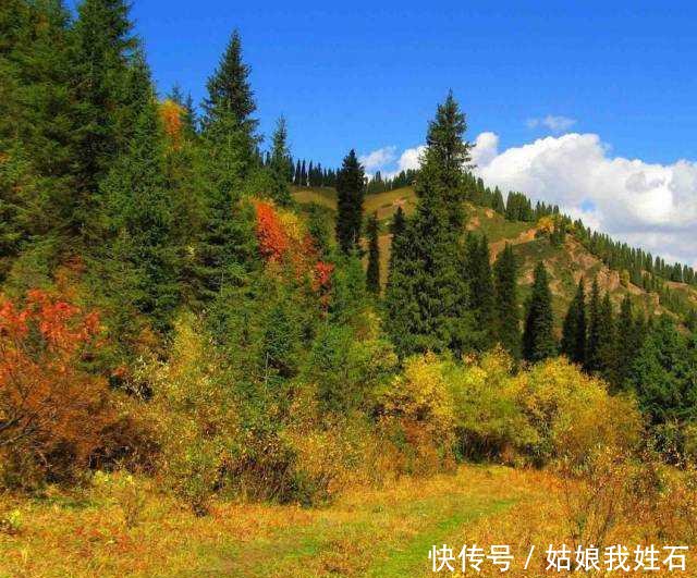 独库公路，媲美318川藏线！去一次震撼一次