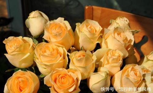 『盆栽』此花高贵典雅,好养花期长,开花颜值高,是阳台盆栽佳品