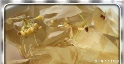 『肚子』它是水果却没有肉,整个肚子里全是籽,晒干后加水一搓变成果冻