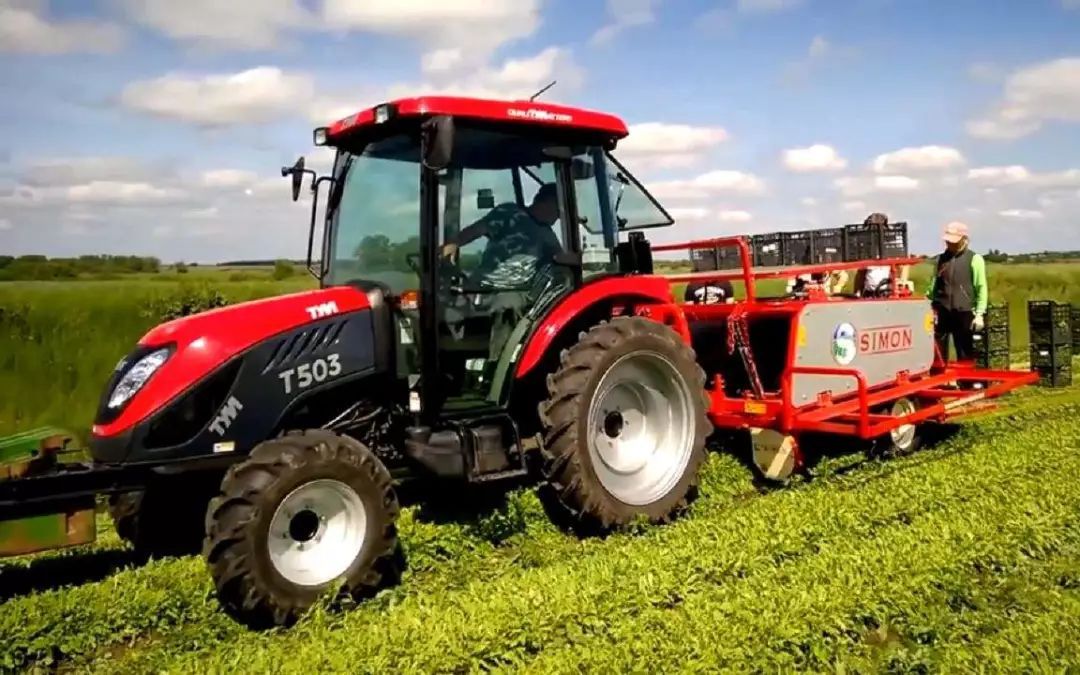 中国农业存在这九大难题，请务必用心阅读以防踏入雷区！