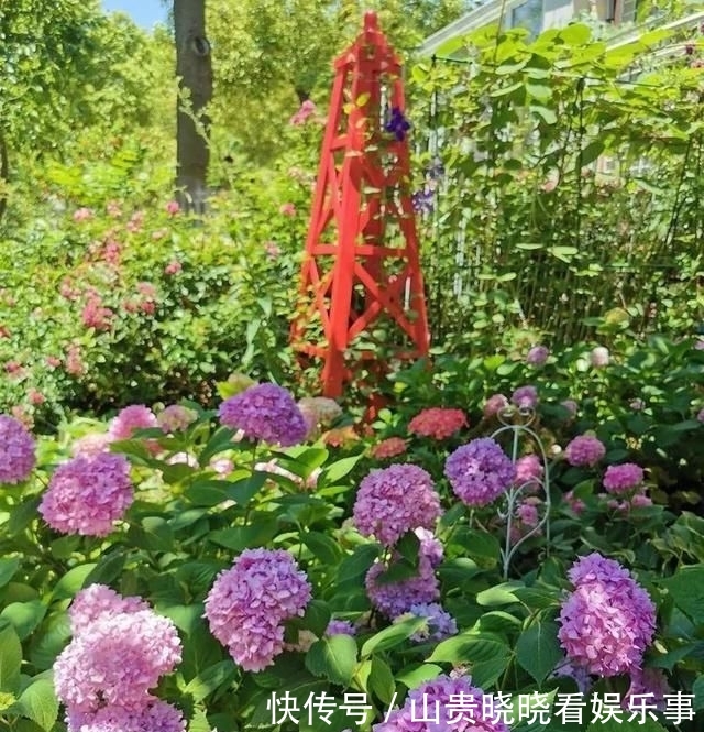  「平方」有了30平方的小院，能将日子过成了诗？简单而精致，优雅而从容！