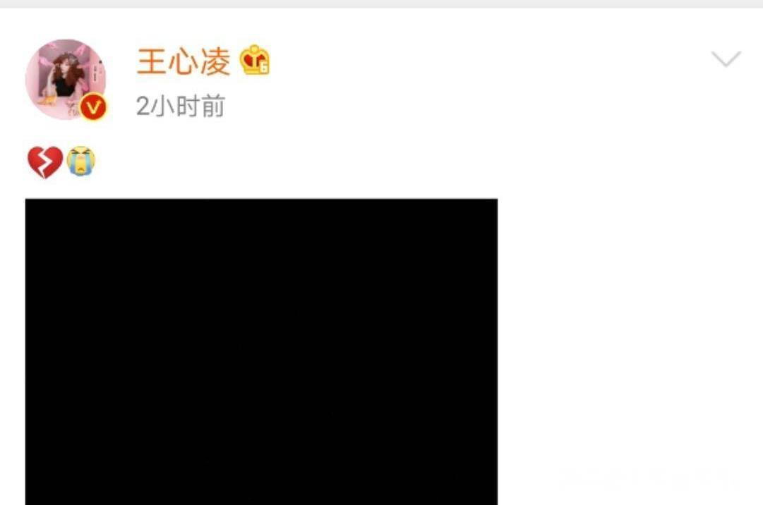 艺人发文高以翔