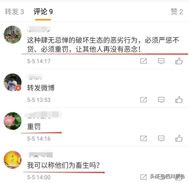 令人愤怒—四川“格聂之眼”周边植被遭碾压，恢复需10年以上！