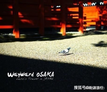  「祈福的灯笼」DAY2日本深度自由行之大阪都门奈良城崎旅行日记