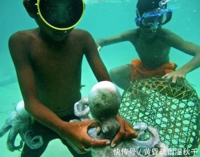 最后的海洋游牧民族,8岁就会出海捕鱼,能在海底自由行走