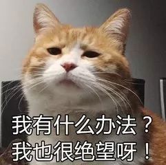 太阳公公！上海需要你！