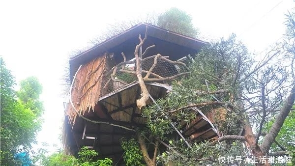 桂林暑期：周末宅不住了！自驾农家乐，清凉野趣文艺范这都有！