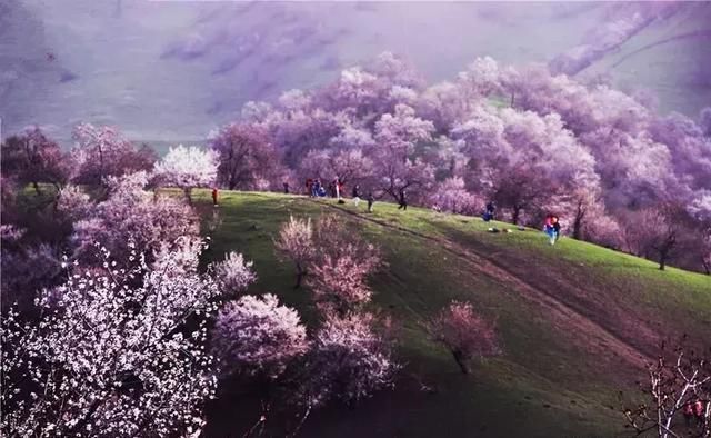 3月最佳旅行地榜单:十大绝美仙境,春暖花开美到窒息!