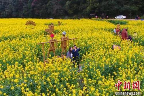 航拍江西婺源万亩梯田“油菜花海” 引游客纷至沓来