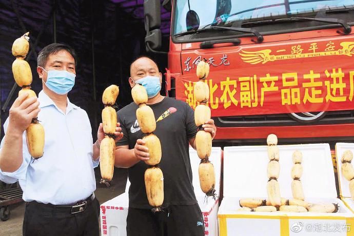  粤港澳：战“疫”助农 粤鄂情深——广东协助湖北农产品走进粤港澳大湾区