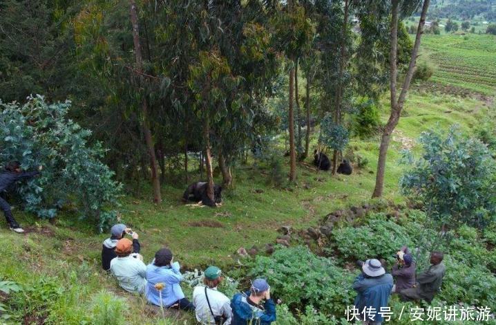 世界上“最开放”的国家，对全世界实行免签！游客：免费也不想去