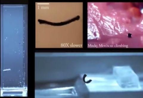 德国科学家研发软体机器人，通过磁场就可控制其行动