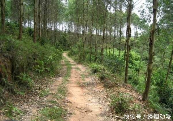  『生活费』鱼跑了,杆也断了,钓鱼人半个月的生活费没了