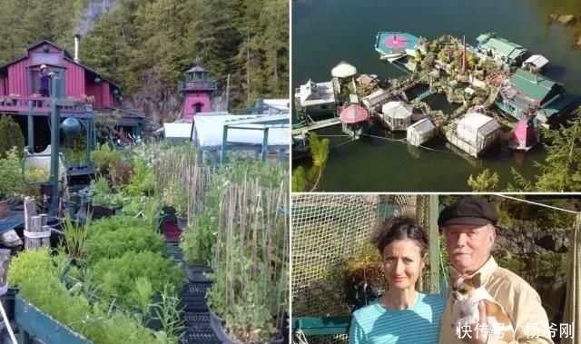  蔬菜：下半生，和爱的人一起养花种菜可好