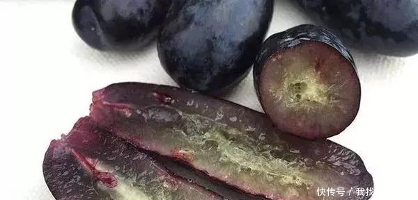  亲戚：我国伟大农业果树！一亩能挣19万，门前种两颗，来年送亲