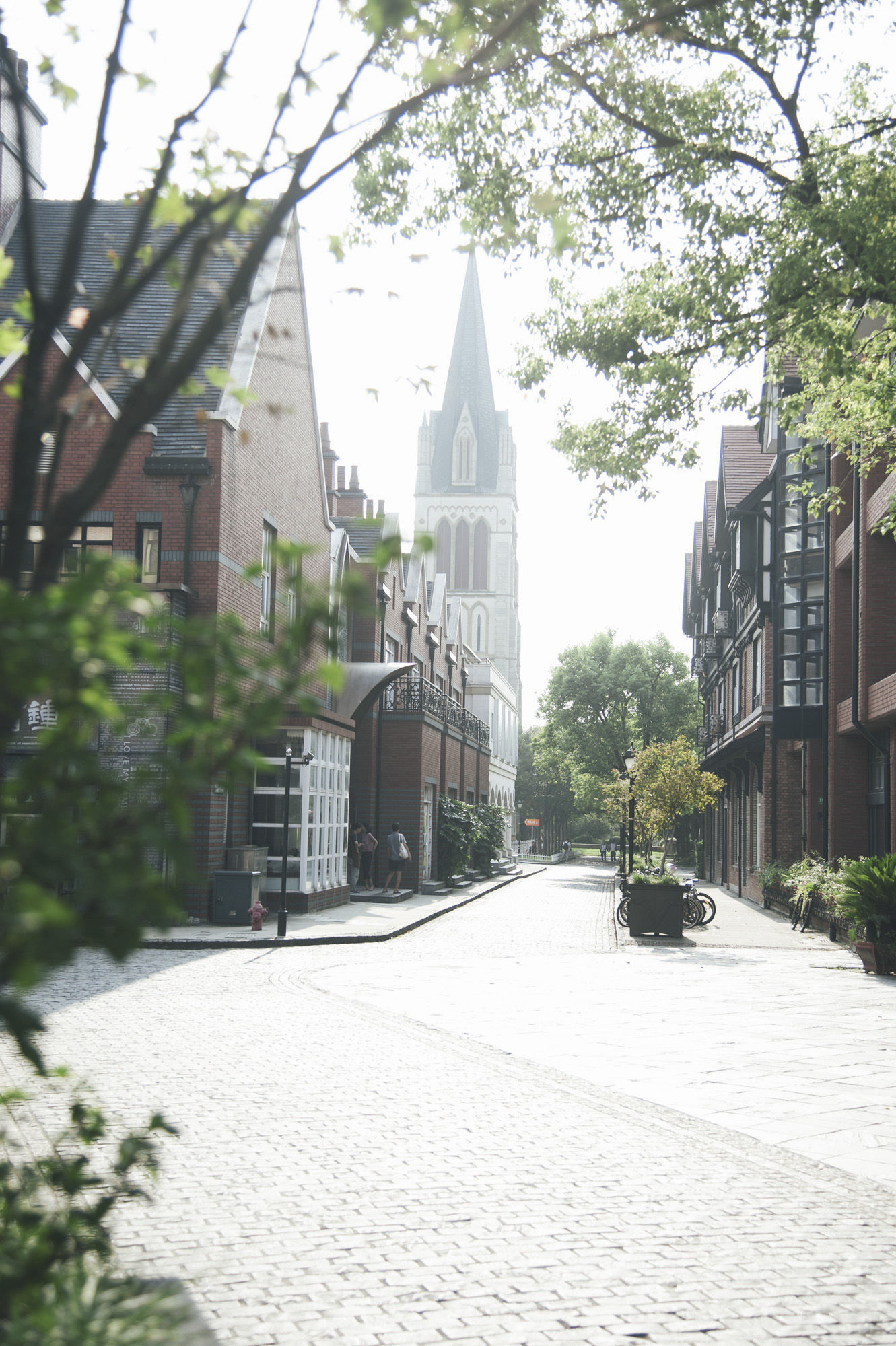 现实版泰囧上海自驾游,历经延误、爆胎、鳄鱼还有暴雨,湿身更撩