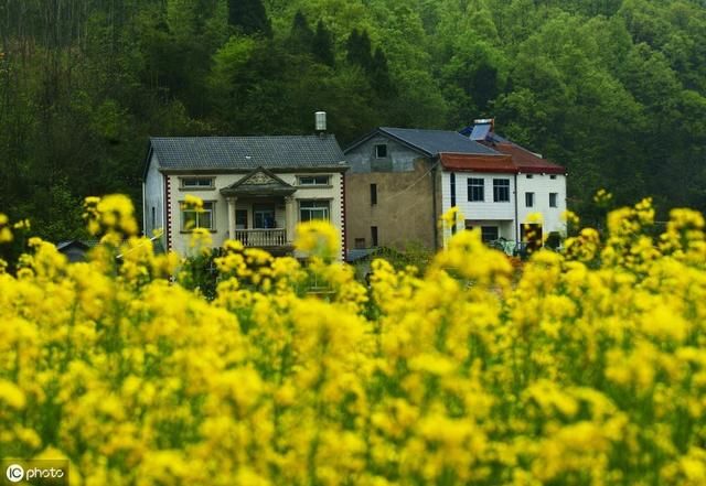 为什么农村实行一户一宅，城市就可以一户多宅？看看专家怎么说