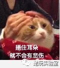 「 听说」97%都是冒牌的,你被“假网红”骗过吗?听说北京的网红店