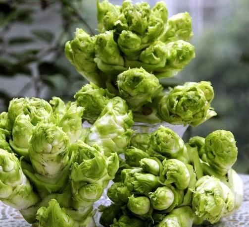 【悄悄】这菜称“瘦身菜”,比鱼肉香,减肚腩淡雀斑,体重悄悄降下来