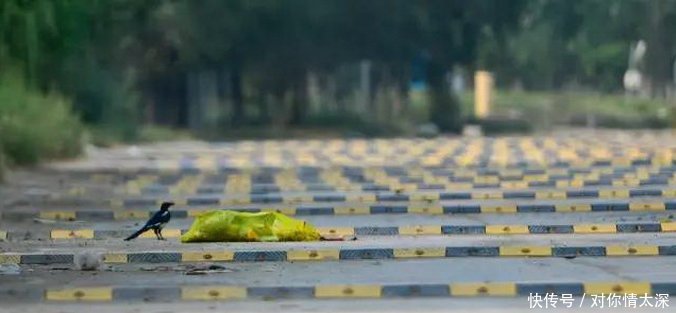  「减速带」中国司机最恐惧的公路，最牛减速带路，颠到你怀疑人