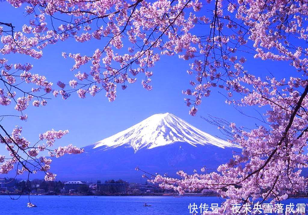 炒作概念的日本人如何把中国3元钱的东西卖到3万？买的都还是国人