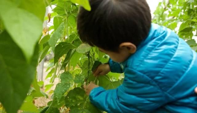  「防范措施」深层 | 乡村旅游开发经营中的错误观念及防范措施
