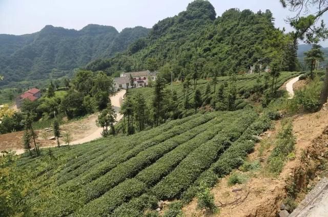 没土地的别担心，新规来了!今后这些土地必须分给农村的新增人口