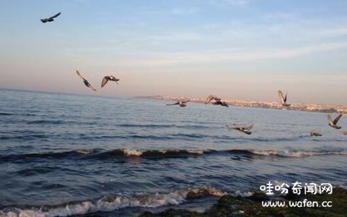 世界上最小的海是什么海,马尔马拉海最小/可乘地铁欣赏海底世界