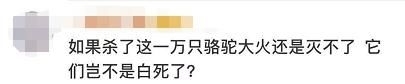 [坐不住]澳大利亚5天内将射杀1万只骆驼! 原因让网友坐不住了!