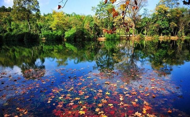 心倦了的时候，品一品这些诗词，过一段属于自己的闲暇时光