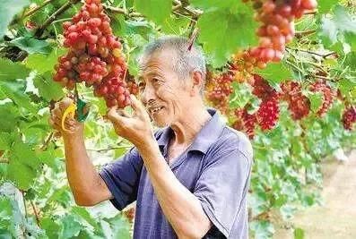 全省首批！河北这50余县区获评“金字招牌”！快看有你家乡吗？