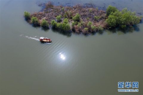  「临安」杭州临安：营造美丽水环境 打造生态好家园