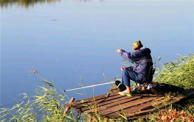  「轻松」如果你想在夏天钓鱼，你可以用这些小贴士来轻松捕鱼