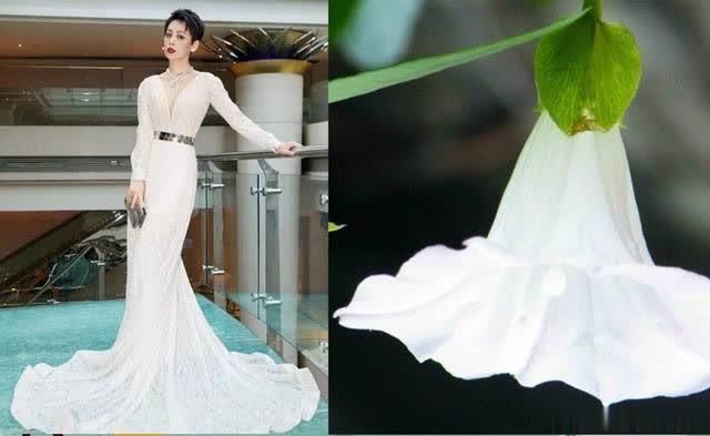 有颜值就是任性!37岁秦岚和46岁宁静凭颜值一个像公主一个像朵花