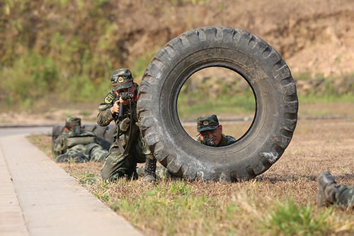  【训练】云南武警：聚焦实战谋打赢